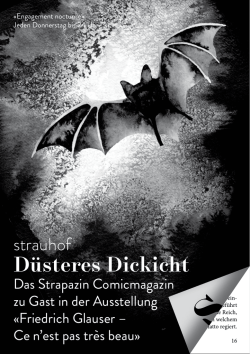 Flyer und Infos als PDF hier herunterladen