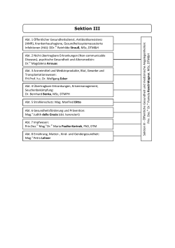 PDF-Dokument: Organigramm Sektion III