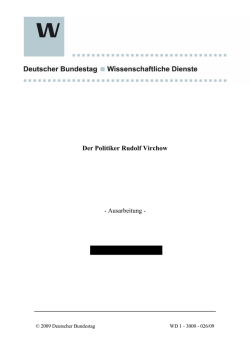 Der Politiker Rudolf Virchow