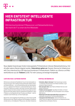 Flyer DSI Intercloud