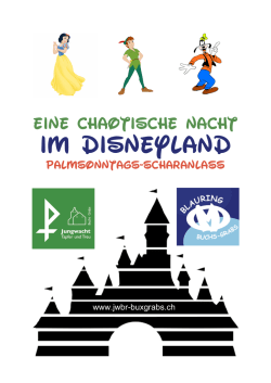 im disneyland - Blaurings Buchs