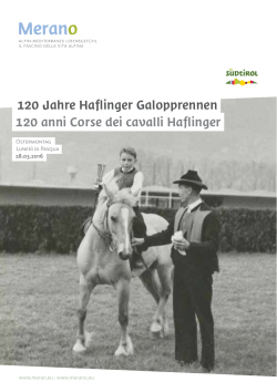 120 anni Corse dei cavalli Haflinger