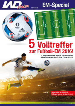 Fußball-EM 2016 - Werkzeuge Dietrich