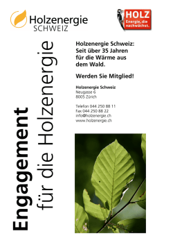 Holzenergie Schweiz: Seit &uuml;ber 35 Jahren f&uuml;r die W&auml;rme aus dem