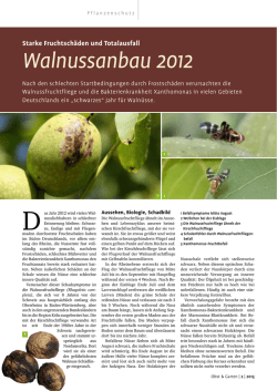 ObstundGarten WNFF 2013