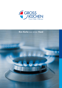 Ihre K&uuml;che aus einer Hand