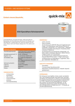 ESA Epoxidharz-Schutzanstrich - Quick-Mix