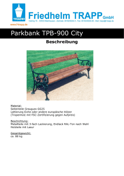 Parkbank TPB-900 City - f