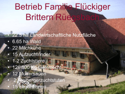 Betrieb Familie Flückiger Brittern Rüegsbach