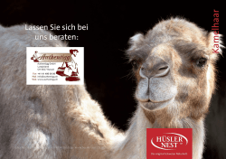 Hüsler-Nest Kamelhaar  Flyer