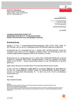 voestalpine Stahl GmbH , Projekt "L6", Detailprojekt L6 KO 00.19.01