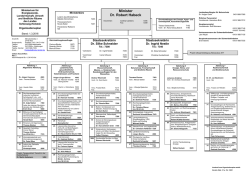 Organigramm - Schleswig