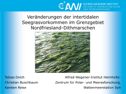 Tobias Dolch (AWI, Sylt) (PDF 5MB, Datei ist - Schleswig