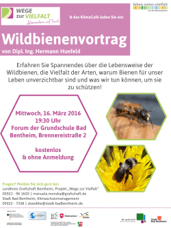 Wildbienenvortrag von Dipl. Ing. Hermann Hunfeld