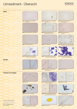 Urinsediment &Uuml;bersicht