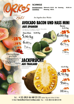 PDF-Version Schweiz