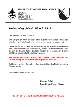 Holzschlag „Magic Wood“ 2016
