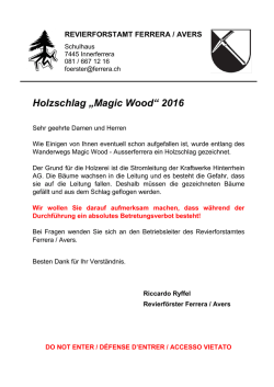 Holzschlag &bdquo;Magic Wood&ldquo; 2016
