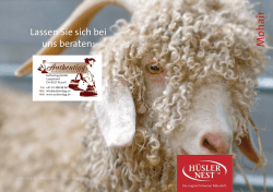 H&uuml;sler-Nest Mohair  Flyer
