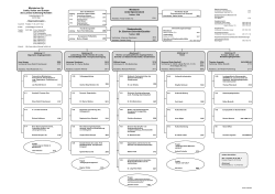 Organigramm (PDF 259KB, Datei ist nicht barrierefrei)