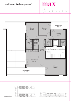 4.5-Zimmer-Wohnung, 123 m2 - max