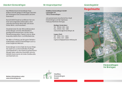 Flyer Regelmatte - Stadt Emmendingen