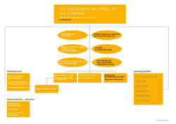 Organigramm als PDF &ouml;ffnen