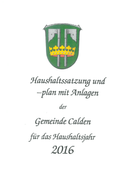 Haushaltssatzung und -plan