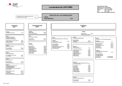 Organigramm des ZAF