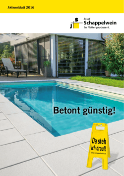 Josef Schappelwein Aktionsblatt 2016 - Raiffeisen