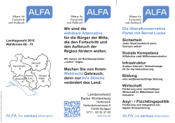 Wahlkreis Wangen Bodensee, Landtagswahl Flyer