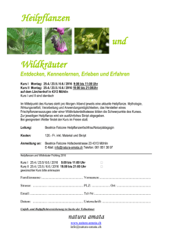 Heilpflanzen und Wildkr&auml;uter