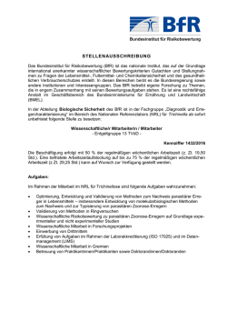 1432 - Wissenschaftliche Mitarbeiterin/Wissenschaftlicher