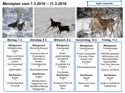 Men&uuml;plan vom 29.2.2016