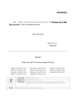 Sitzung Hypo-Untersuchungsausschuss / PDF