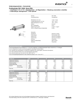 Profilzylinder ISO 15552, Serie PRA