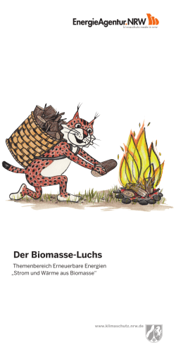 Der Biomasse-Luchs - EnergieAgentur.NRW