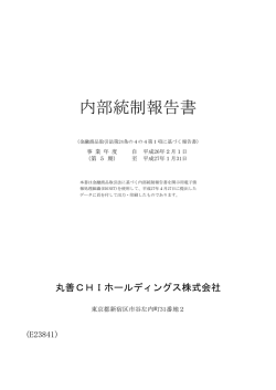 内部統制報告書 - 丸善CHIホールディングス株式会社