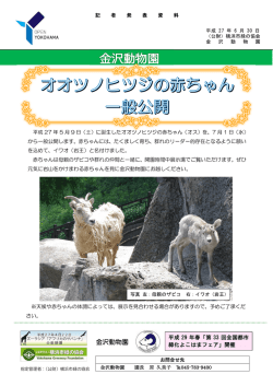 金沢動物園