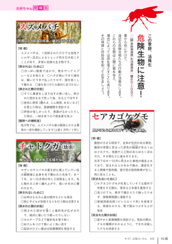 ページ10（PDFファイル：767KB）