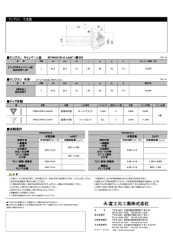 ヤングメン キャンペーン品 ヤングメン 本体 チップ詳細 切削条件 ヤングメン