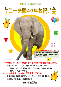 アフリカゾウのケニー来園40年をお祝いする会を開催します。 ケニーへの