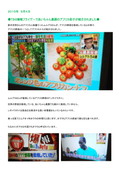 TBS爆報フライデーであいちゃん農園のアフリカ茄子が紹介されました。