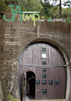JAmp Vol.17