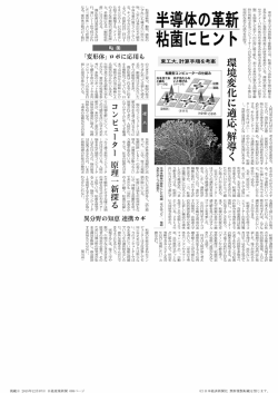 東京工業大学の青野真士准教授らはヽ 粘菌といろ奇妙な姫物の動きを