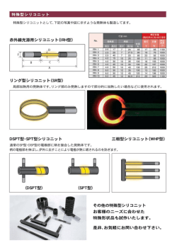 特殊型シリコニッ ト