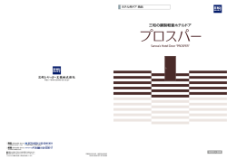 三和の鋼製軽量ホテルドア