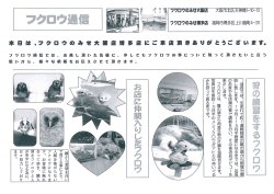 フクロウ通信・・・NO.1