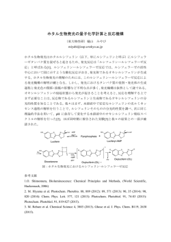 ホタル生物発光の量子化学計算と反応機構