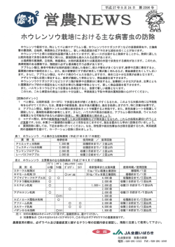 ホウレンソウ栽培における主な病害E